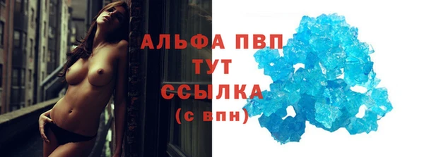 дмт Бикин