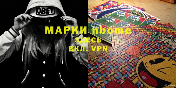 дмт Бикин