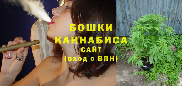 дмт Бикин