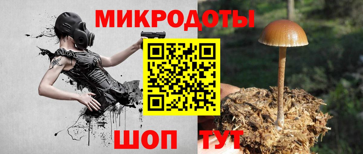 Галлюциногенные грибы Psilocybine cubensis Карабулак