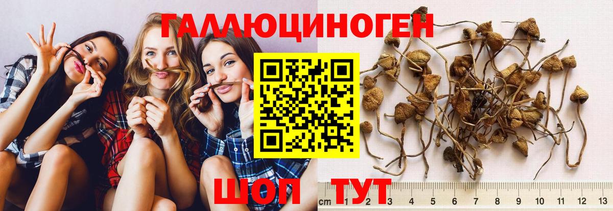 Галлюциногенные грибы GOLDEN TEACHER Карабулак