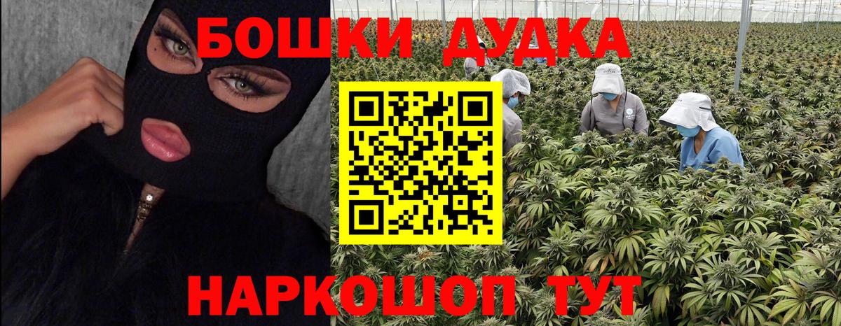 Конопля сатива Карабулак